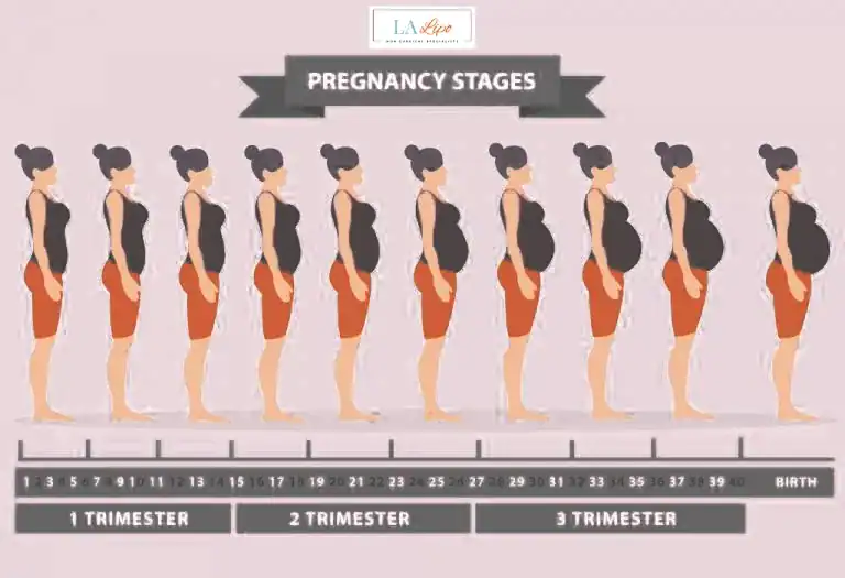 First Trimester (Weeks 1–12): Early Changes You Might Not Notice Wincanton